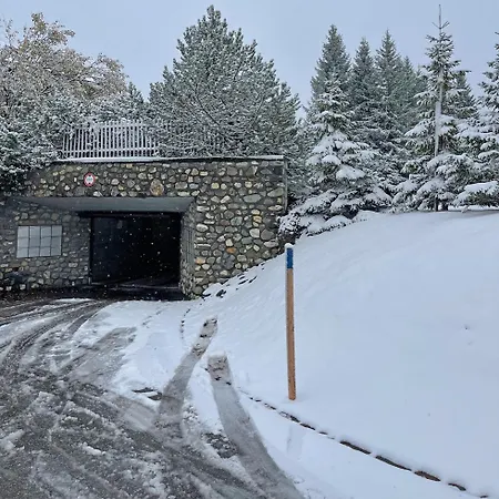 With Ski-in Ski-out Access And Fireplace